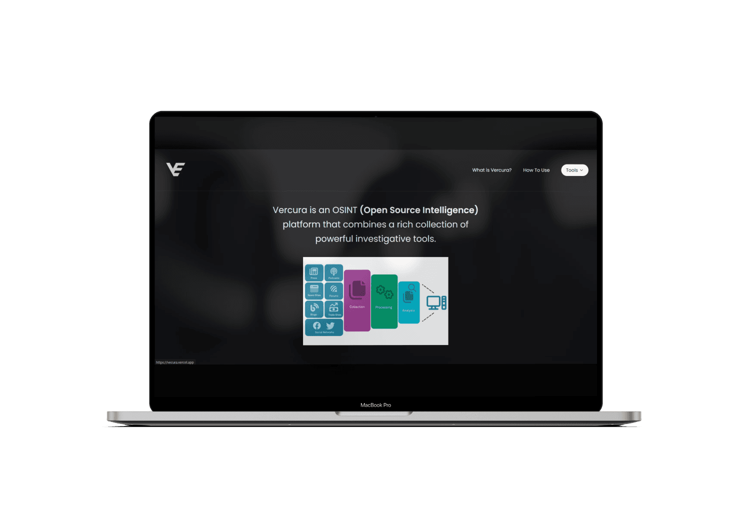 Vecura OSINT